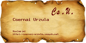 Csernai Urzula névjegykártya